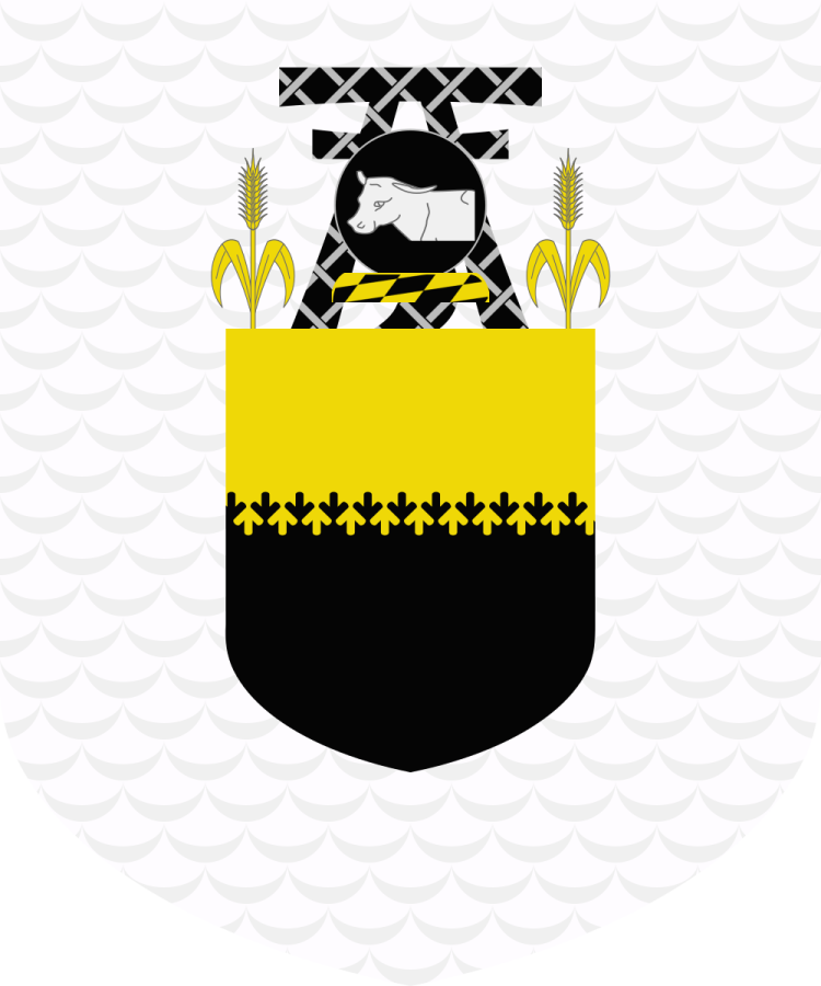 Shield image
