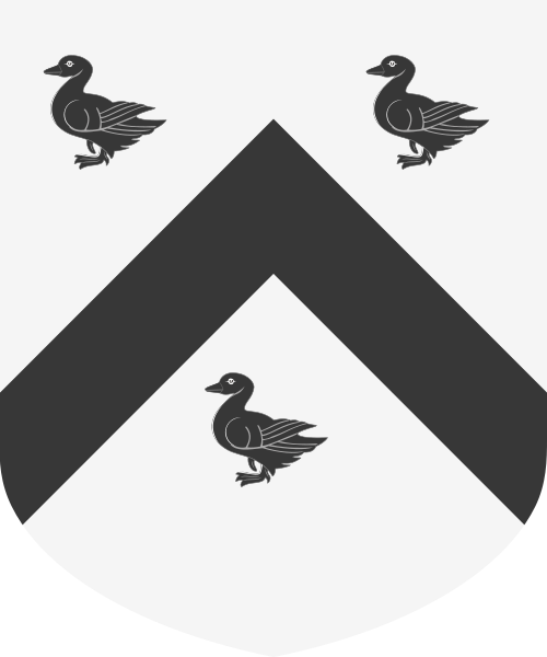 Shield image
