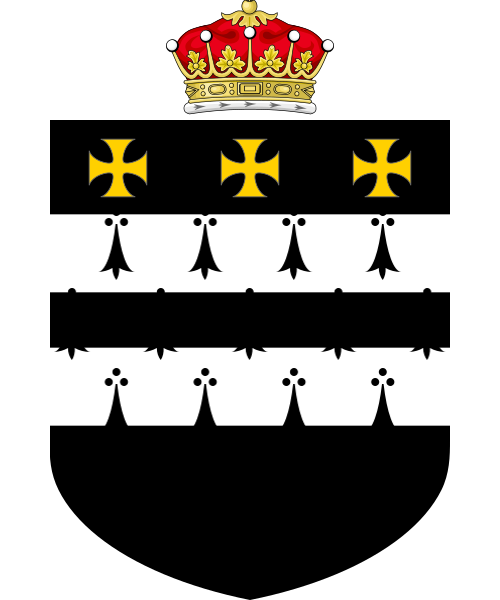 Shield image