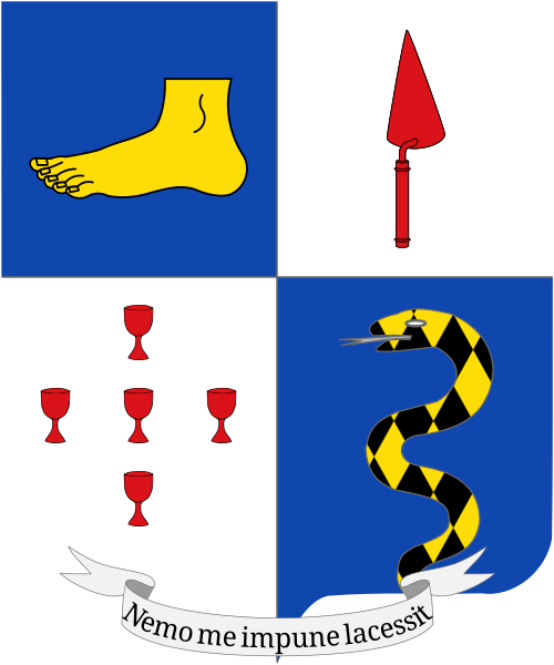 Shield image
