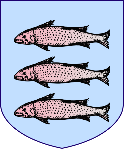 Shield image