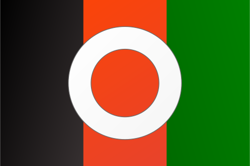 Shield image