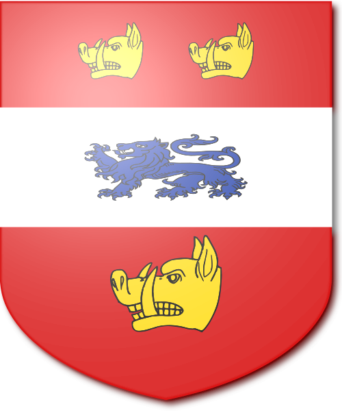 Shield image